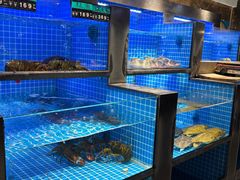 -大鹏饭店·金陵家宴(奥体中心店)