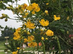 -紫颐香薰山谷景区