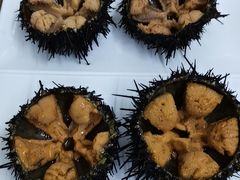 -海胆小馆(东北水饺·春柳店)