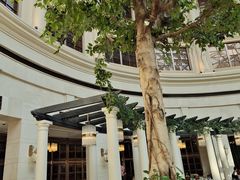 -漢咖啡·全服务式自助晚餐(武汉洲际酒店)