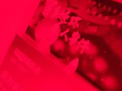 -剧狐剧本杀(徐汇1号店)