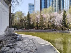 -团结湖公园