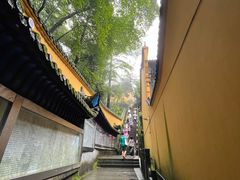 -九华山风景区