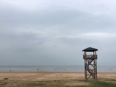 -日照海滨国家森林公园