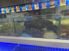 -大众海鲜(巨龙北路店)