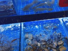 -阿湾楼·温州海鲜·江浙菜(京江路店)