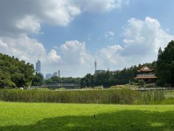-小鲤鱼寻宝记·AR亲子户外剧本闯关(广州东山湖公园店)