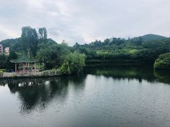 -大屏嶂森林公园