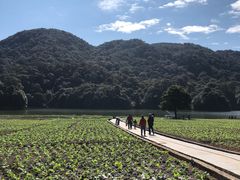-广州市石门国家森林公园