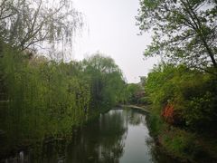 -尚贤河湿地