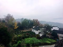 -塔川景区