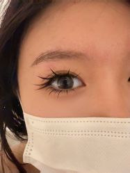 -七岛美学