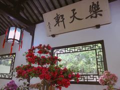 -上海醉白池公园