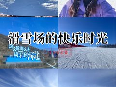 -密苑云顶乐园