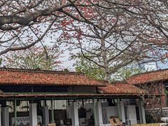 -喜洲吧·江畔老船厂·庭院餐厅(喜临院店)