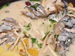 菌菇汤锅底-鲜潭蒸汽石锅鱼(五道口购物中心店)