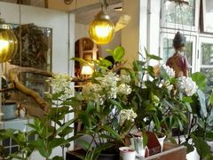 -懒鱼时光馆(沙坪坝店)