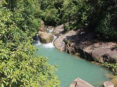 -广州白江湖森林公园