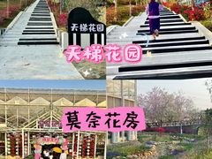 -盈香心动乐园