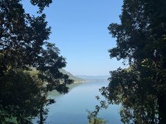 -广州市流溪河国家森林公园