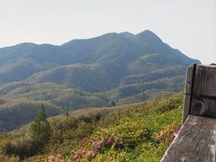 -江南天池