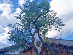 -木王宴语·野生鲜菌火锅(玉河店)