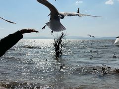-捞渔河湿地公园