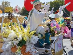 -荷兰花海