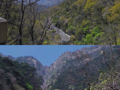 -泰山风景名胜区