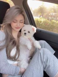 -Rise Hair上升造型
