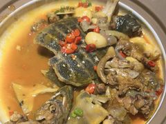 -洞庭家宴·头牌甲鱼(广渠门店)