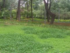 -北京化工大学(东校区)