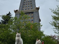 -冕宁灵山寺