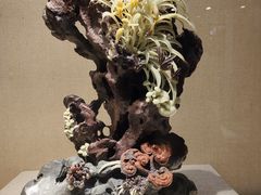 -浙江省博物馆(孤山馆区)