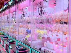 -探险阳光乐园(东区利和店)
