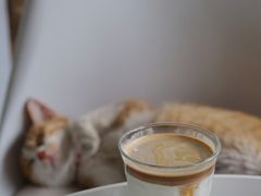 冰博客dirty-隹木咖啡馆(宝龙广场店)