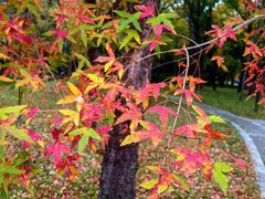 -国家植物园南园