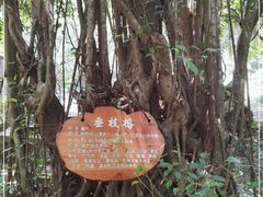 -海口火山口国家地质公园