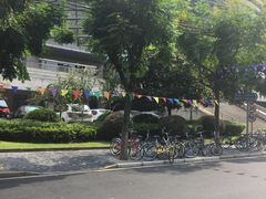 -复旦大学正大集团体育馆