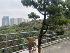 -大石鼓山庄·珠海第一烧猪