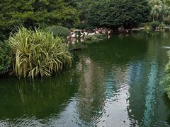 -九龙公园