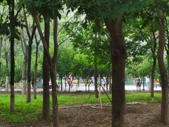 -大兴滨河森林公园