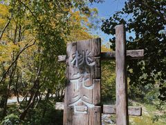 -中山市树木园