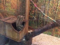 -上海大自然野生昆虫馆