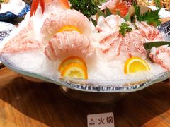 红东星斑-珍宝轩海鲜火锅(碧湖大厦店)