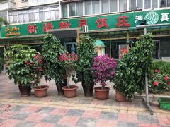 门面-新疆欣悦饭庄