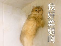 -万象影城(杭州万象城IMAX激光店)