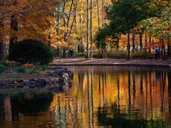 -上海共青森林公园