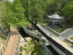-白水寺森林公园