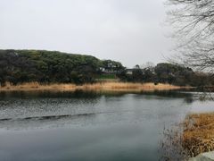 -上海市保健医疗中心(华东疗养院)